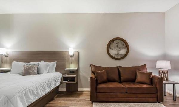 1 King Bed Suite Photo 1